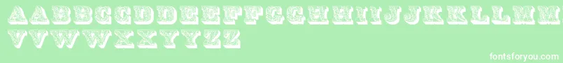 Dslettres Font – White Fonts on Green Background