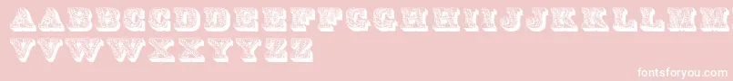 Dslettres-fontti – valkoiset fontit vaaleanpunaisella taustalla
