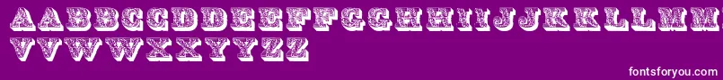 Dslettres Font – White Fonts on Purple Background