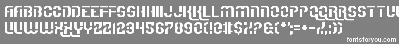 Czcionka IReallyReallyReallyReallyReallyReallyLikeFonts – białe czcionki na szarym tle