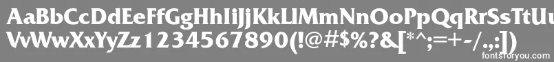 フォントFrizquadratacBold – 灰色の背景に白い文字