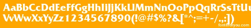 FrizquadratacBold Font – White Fonts on Orange Background