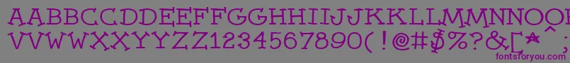 Dummies Font – Purple Fonts on Gray Background