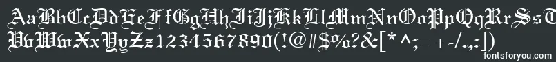 LinustextRegular Font – White Fonts