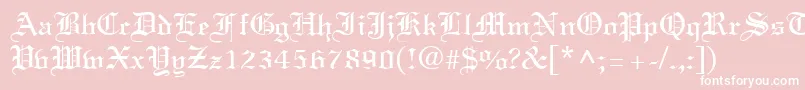 LinustextRegular Font – White Fonts on Pink Background