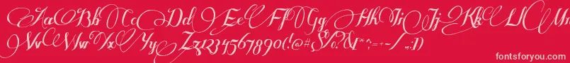 SomeweatzWithSymbols-Schriftart – Rosa Schriften auf rotem Hintergrund