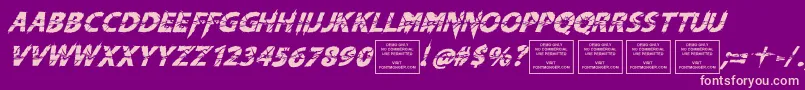 KnifefightballetItalic Font – Pink Fonts on Purple Background