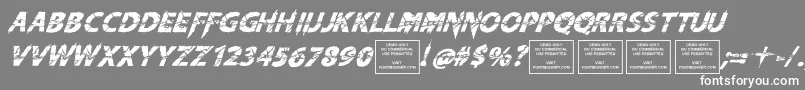 KnifefightballetItalic Font – White Fonts on Gray Background