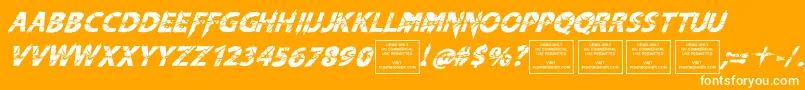 KnifefightballetItalic Font – White Fonts on Orange Background