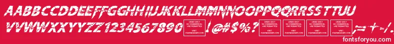 KnifefightballetItalic Font – White Fonts on Red Background