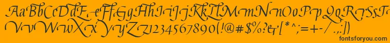GaiusLtRegularSwashBeginning Font – Black Fonts on Orange Background