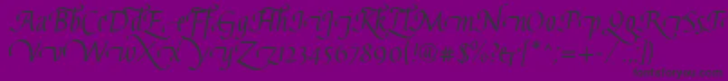 GaiusLtRegularSwashBeginning-fontti – mustat fontit violetilla taustalla