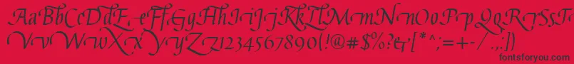 GaiusLtRegularSwashBeginning Font – Black Fonts on Red Background