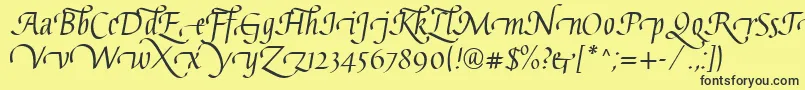 Шрифт GaiusLtRegularSwashBeginning – чёрные шрифты на жёлтом фоне