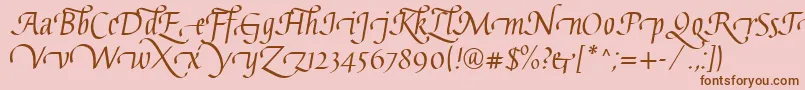 Шрифт GaiusLtRegularSwashBeginning – коричневые шрифты на розовом фоне