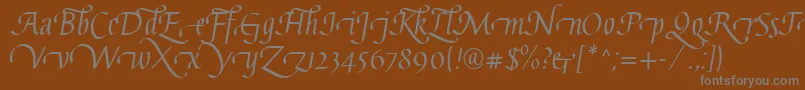 Шрифт GaiusLtRegularSwashBeginning – серые шрифты на коричневом фоне