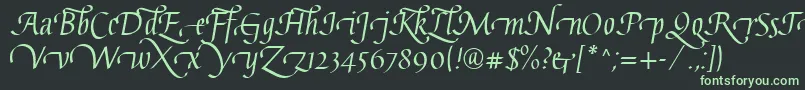 GaiusLtRegularSwashBeginning Font – Green Fonts on Black Background