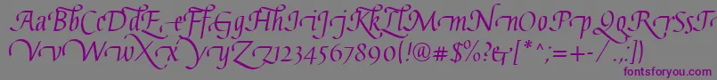 GaiusLtRegularSwashBeginning-fontti – violetit fontit harmaalla taustalla