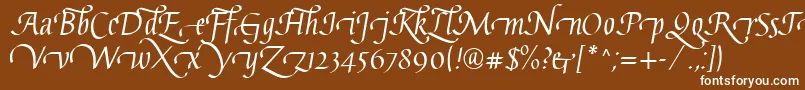 GaiusLtRegularSwashBeginning Font – White Fonts on Brown Background