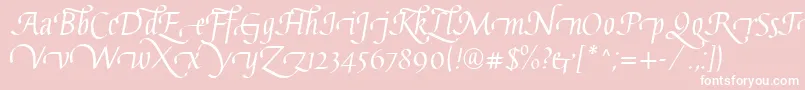 GaiusLtRegularSwashBeginning-Schriftart – Weiße Schriften auf rosa Hintergrund