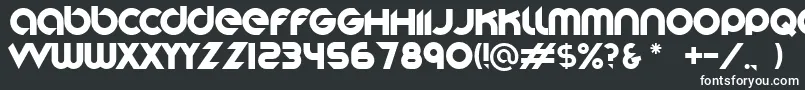 Stereofunk Font – White Fonts