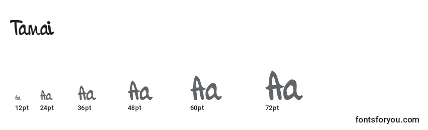 Размеры шрифта Tamai