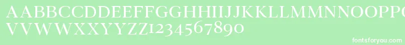 Wensleydemo Font – White Fonts on Green Background