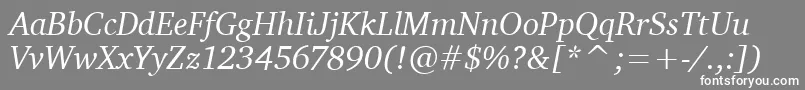 CharterItcTtItalic Font – White Fonts on Gray Background
