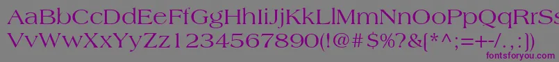AmericanaLtRoman Font – Purple Fonts on Gray Background