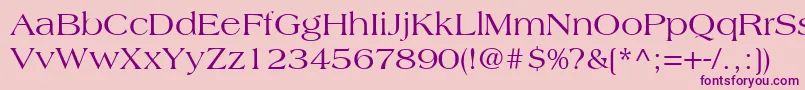 AmericanaLtRoman Font – Purple Fonts on Pink Background