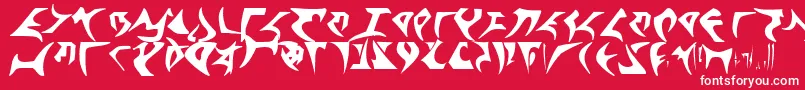 Klingontng Font – White Fonts on Red Background