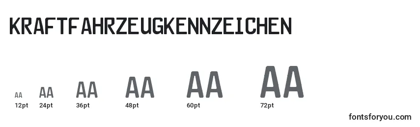 Размеры шрифта Kraftfahrzeugkennzeichen