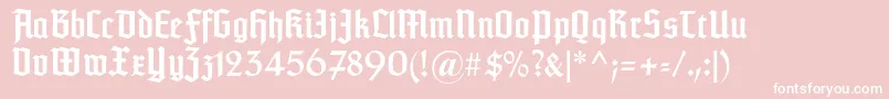 Typographertextur Font – White Fonts on Pink Background