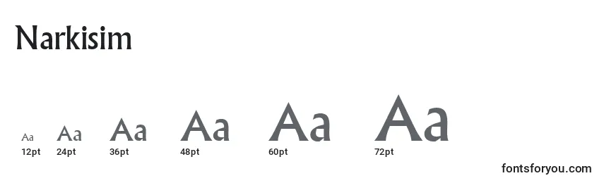 Размеры шрифта Narkisim