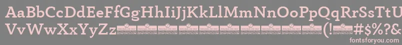 AnaphoraMediumTrial Font – Pink Fonts on Gray Background