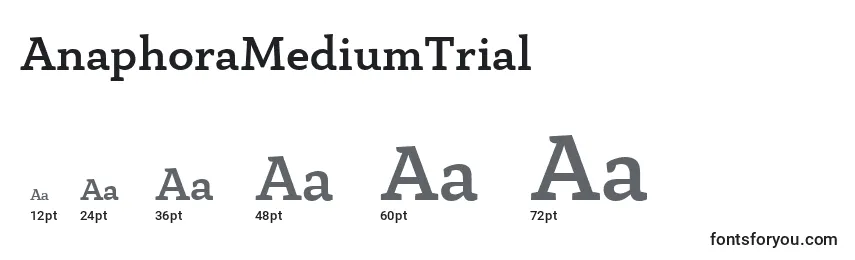 AnaphoraMediumTrial Font Sizes