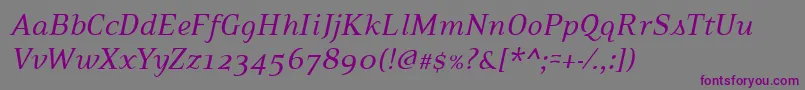 PfexecutiveItalic-Schriftart – Violette Schriften auf grauem Hintergrund