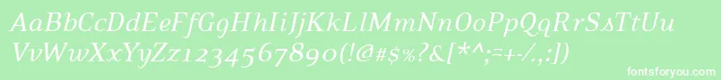 フォントPfexecutiveItalic – 緑の背景に白い文字