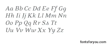 Review of the PfexecutiveItalic Font