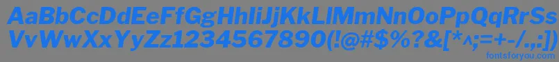 フォントLibrefranklinExtrabolditalic – 灰色の背景に青い文字