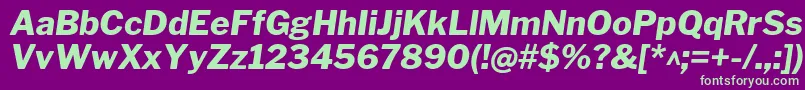 LibrefranklinExtrabolditalic Font – Green Fonts on Purple Background