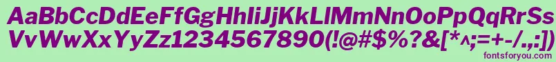 LibrefranklinExtrabolditalic Font – Purple Fonts on Green Background