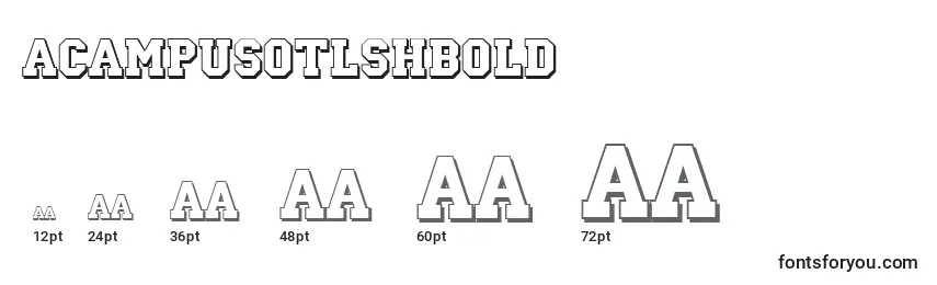 Размеры шрифта ACampusotlshBold