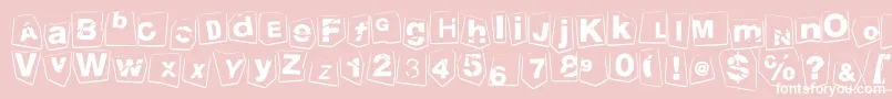 TengoATusHijos Font – White Fonts on Pink Background