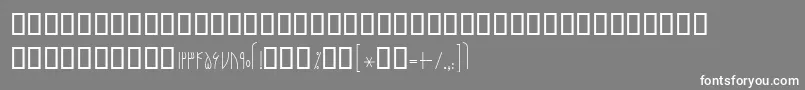 フォントBNarenj – 灰色の背景に白い文字