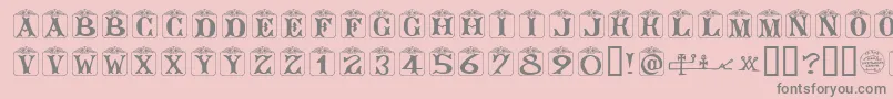 AngelotsUnregistered Font – Gray Fonts on Pink Background