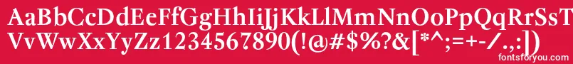 フォントRegentProBold – 赤い背景に白い文字