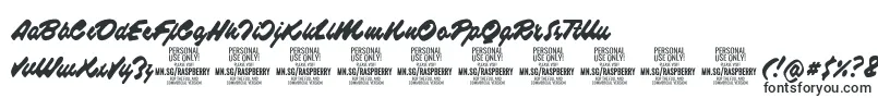 RaspberryscriptPersonalUse-Schriftart – Schriften für Adobe Reader