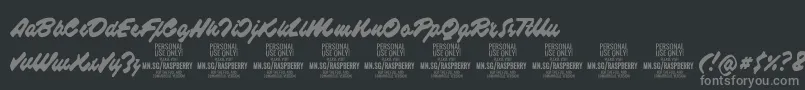 RaspberryscriptPersonalUse Font – Gray Fonts on Black Background