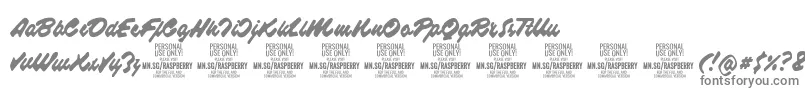 Шрифт RaspberryscriptPersonalUse – серые шрифты на белом фоне